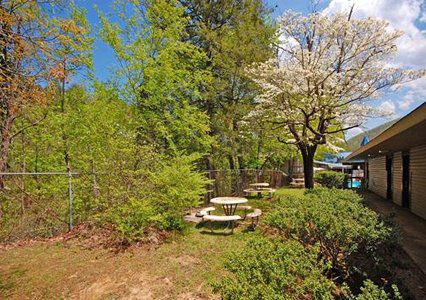 Rodeway Inn Skyland Gatlinburg Amenities foto